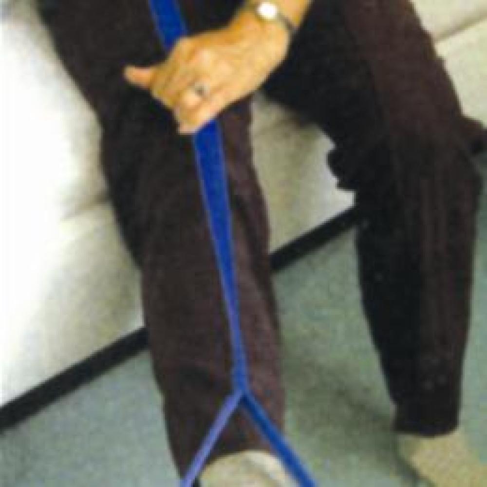 Image for product - Easy Leg Lifter